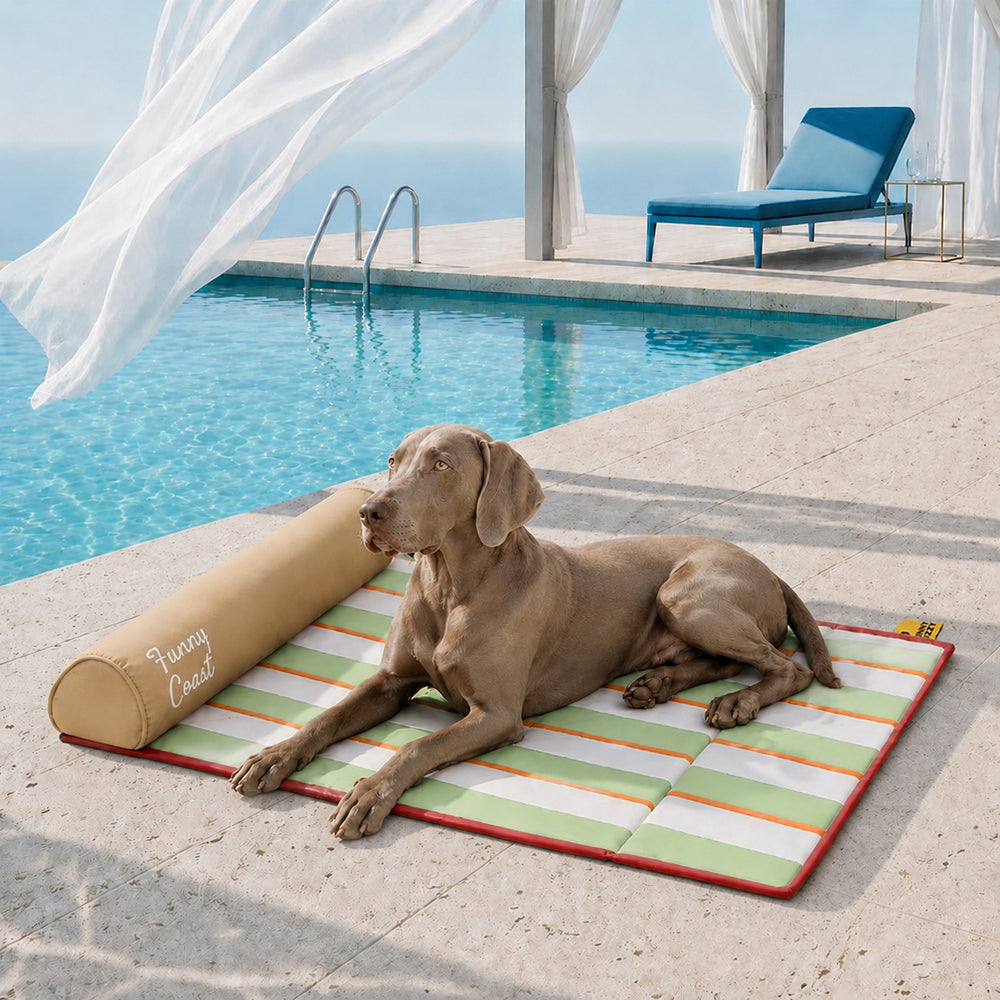 Portable Cooling Cat & Dog Mat - Chill Nest