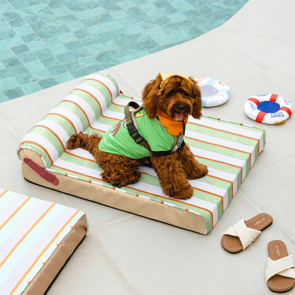 Cooling Orthopedic Dog Bed for Crate