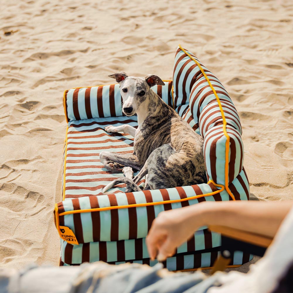 Stripe Waterproof Foldable Large Dog Sofa Bed for Crate