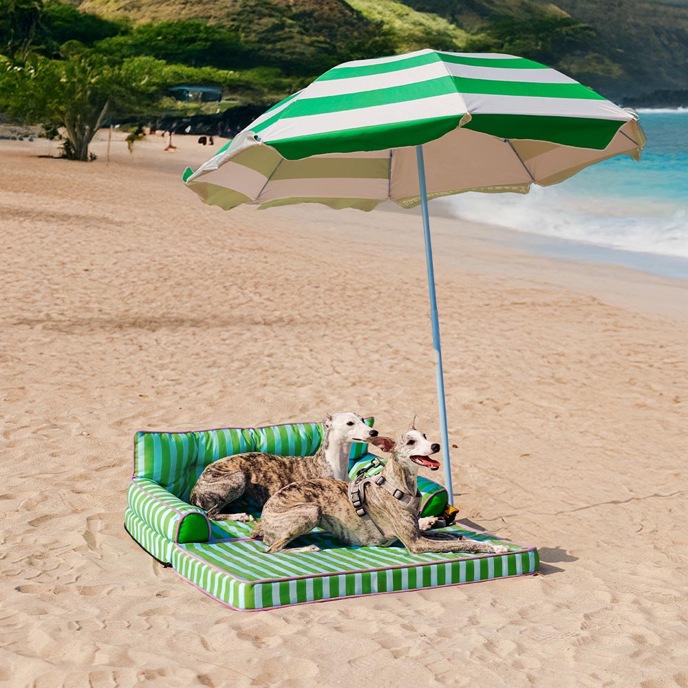 Stripe Waterproof Foldable Large Dog Sofa Bed for Crate