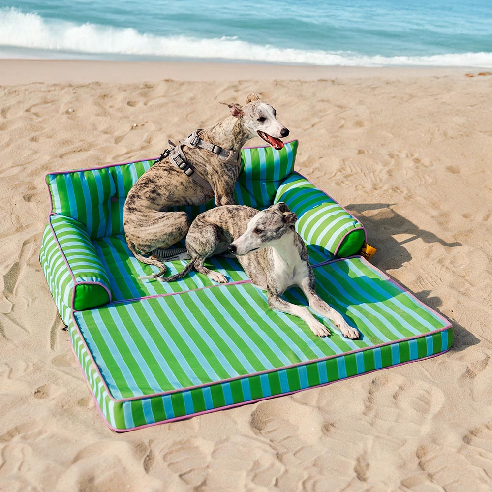Stripe Waterproof Foldable Large Dog Sofa Bed for Crate