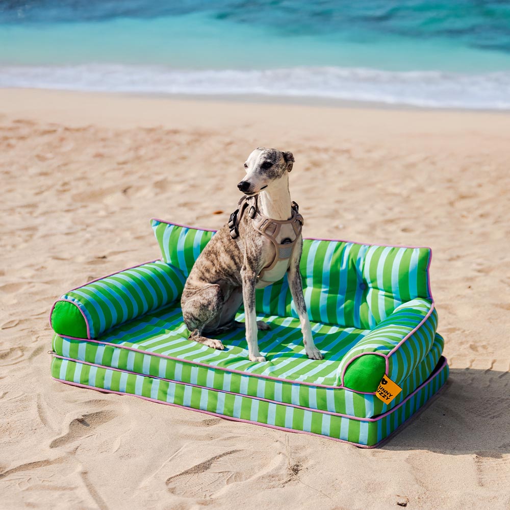 Stripe Waterproof Foldable Large Dog Sofa Bed for Crate