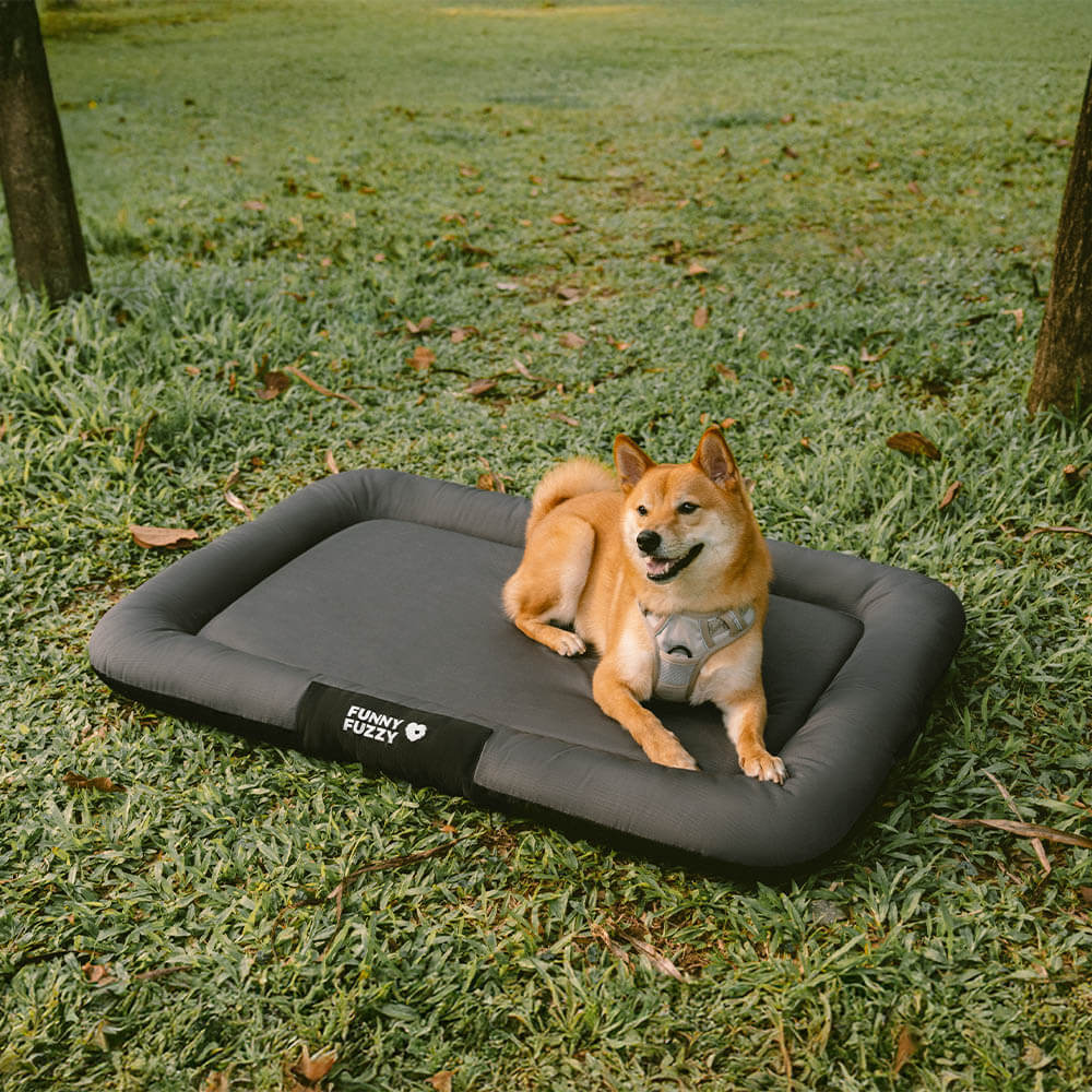 Outdoor Waterproof & Scratch-Resistant Colour-blocked Orthopaedic Dog Bed Dog Mat - Trek Lounge