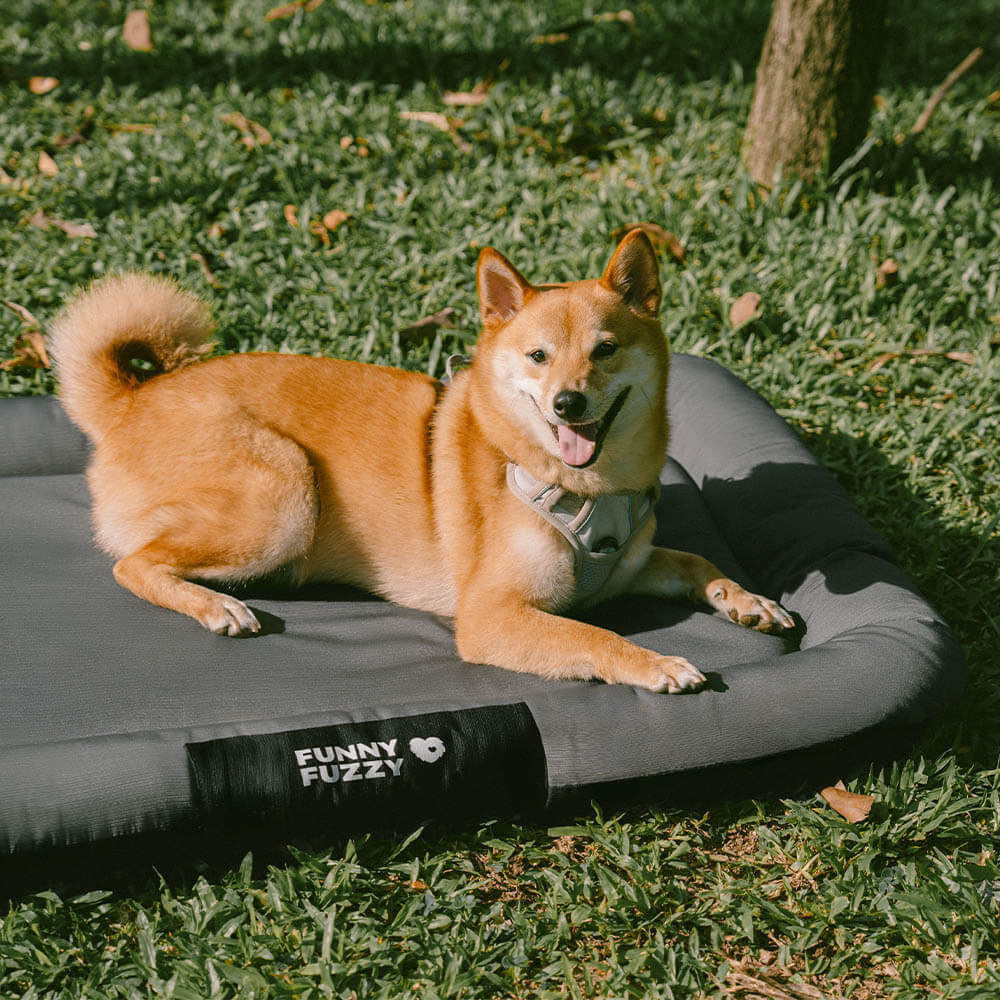 Outdoor Waterproof & Scratch-Resistant Colour-blocked Orthopaedic Dog Bed Dog Mat - Trek Lounge