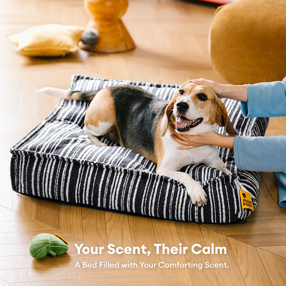 Sustainable Storage Pouf Ottoman & Boucle Dog Bed - Funnyfuzzy SnugNest