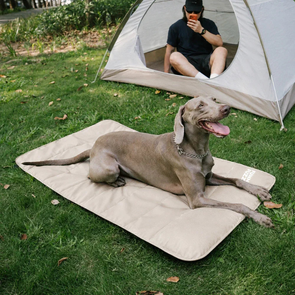 Outdoor Portable Waterproof Dog Mat-Urban Roaming