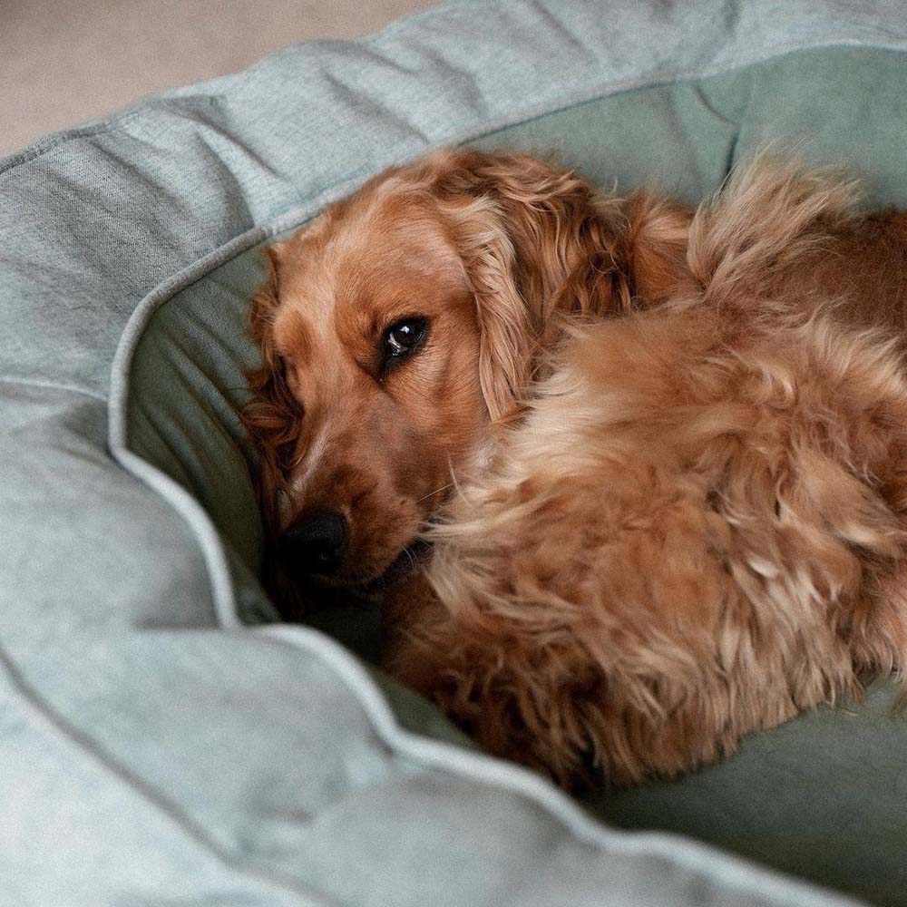 Orthopaedic Machine Washable Dog Bed Calming Bed - Donut