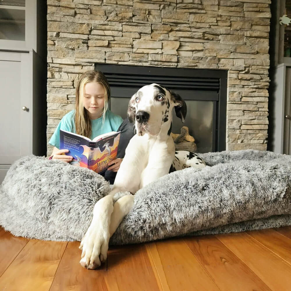 Donut Orthopaedic Dog Bed - Home Office
