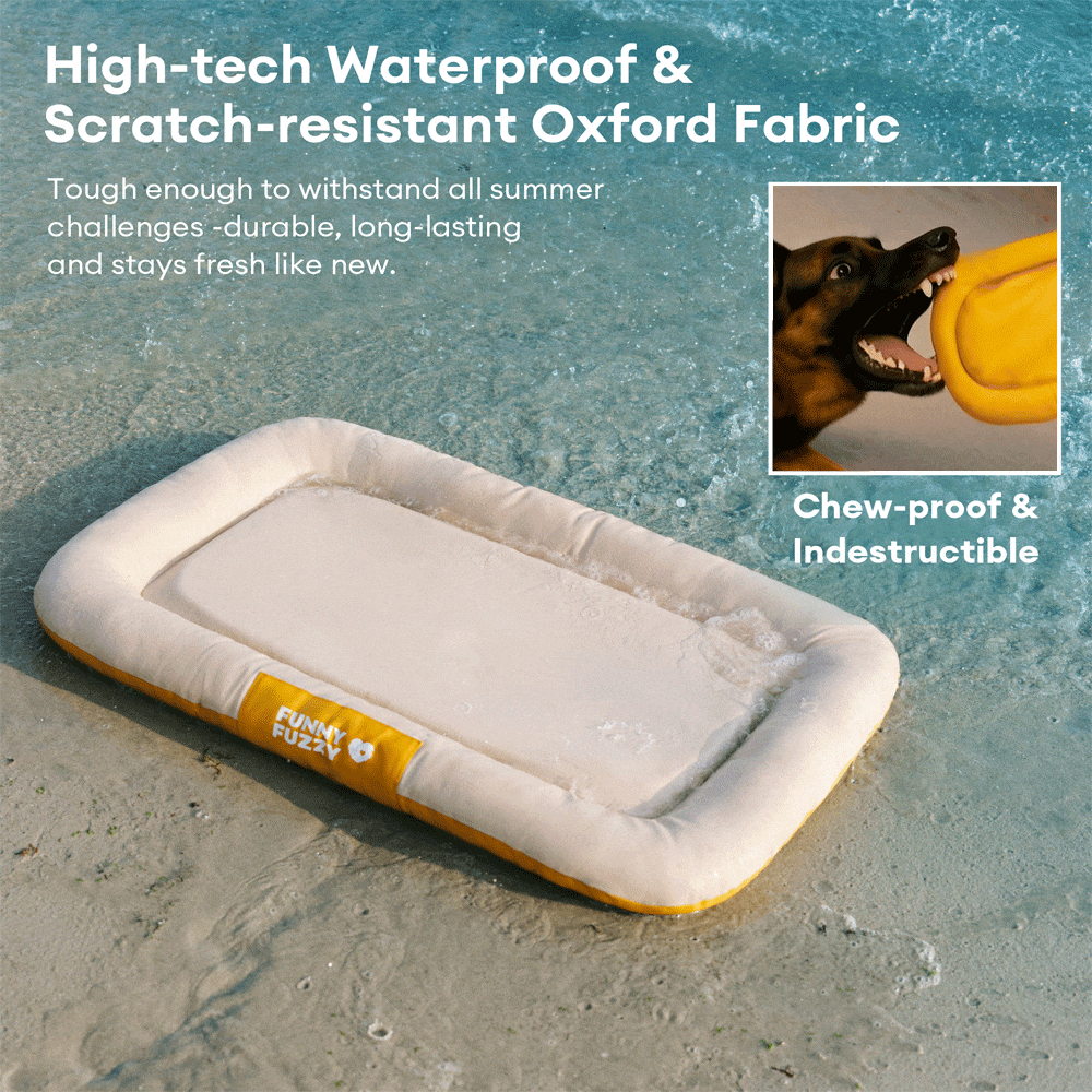Waterproof ＆ Chew-proof Memory Foam Orthopedic Dog Mat for Crate