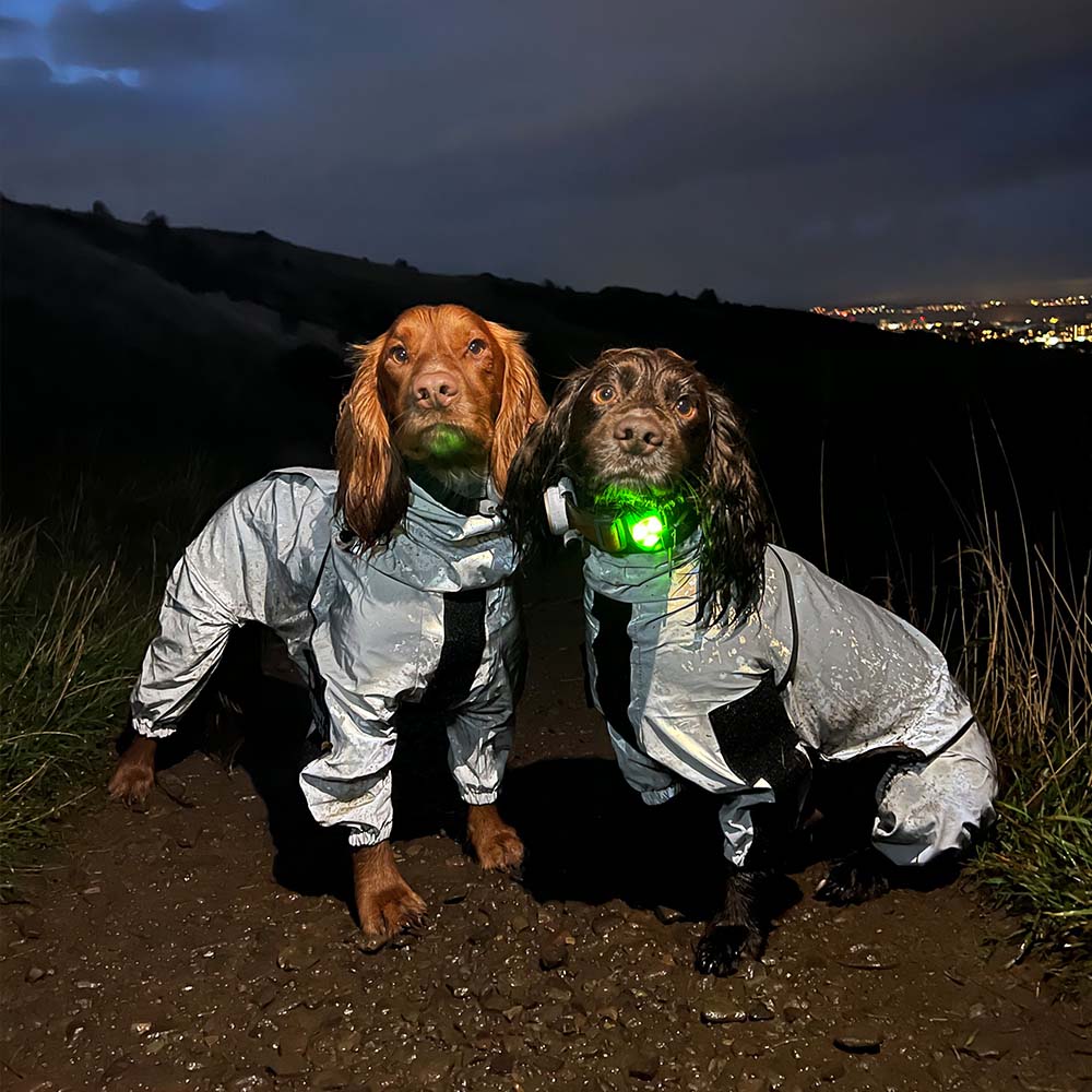 Reflective All-weather Waterproof Space Coat Dog Rain Coat