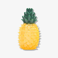 Teething Rubber Water-filled Frozen Fruit Shape Dog Toy