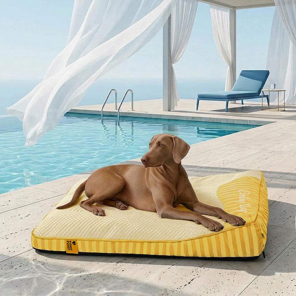 Extra Large Cooling Washable Rectangle Orthopedic Dog Bed Outdoor Dog Bed