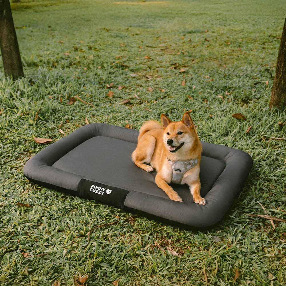 Waterproof ＆ Chew-proof Memory Foam Orthopedic Dog Mat for Crate