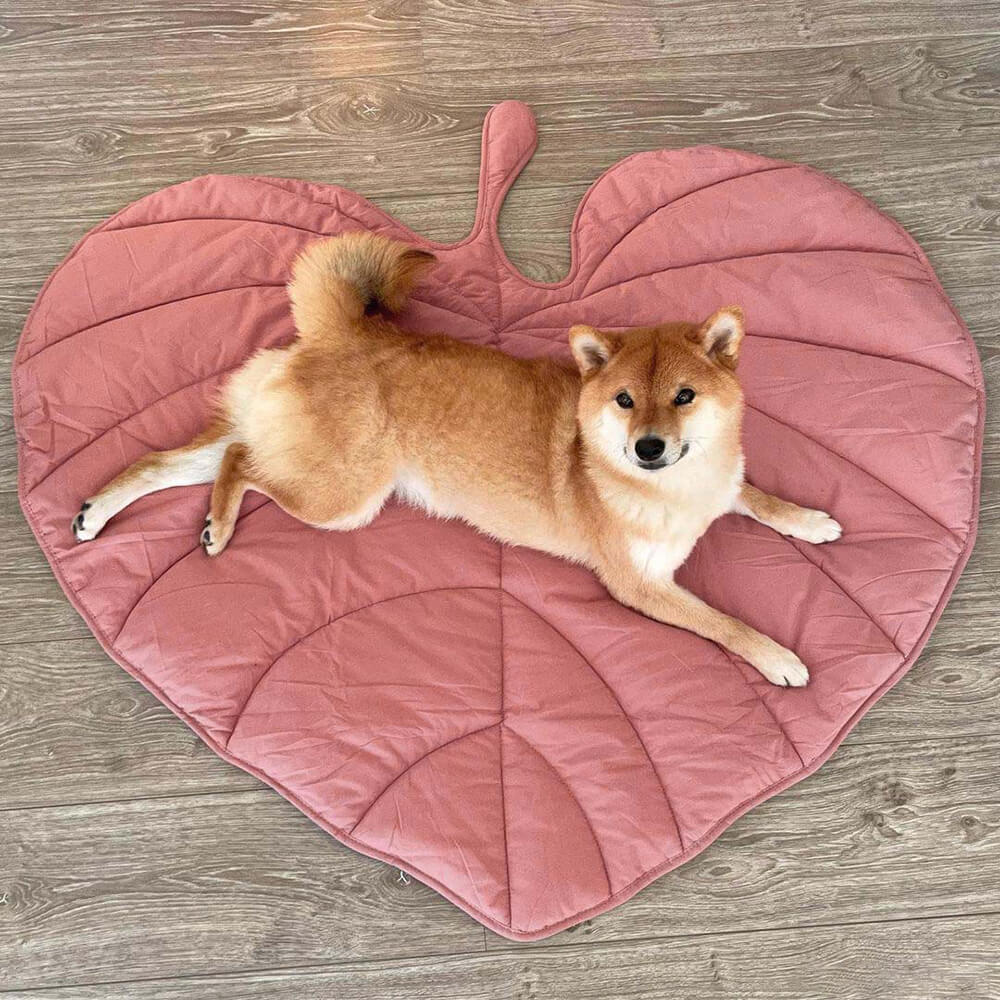 Calming Dog Blanket - Leaf Shape